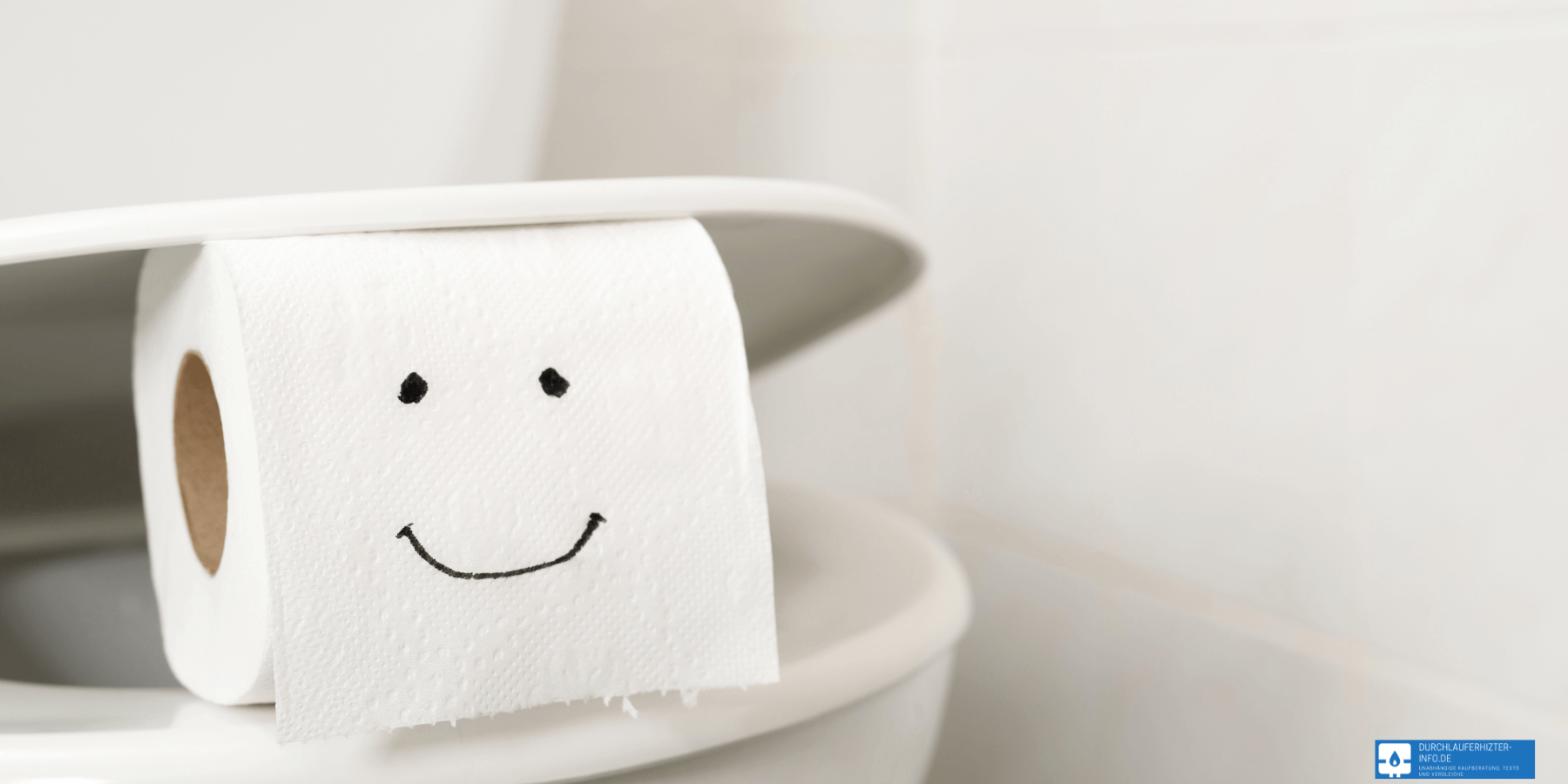 Spuelrandloses WC Vorteile